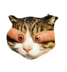 猫のあっちゃん（個別スタンプ：20）