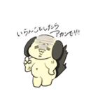 わんこカップル べち＆べちこ（個別スタンプ：25）