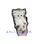 まめたとこうめ（個別スタンプ：3）