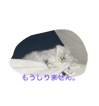 まめたとこうめ（個別スタンプ：9）