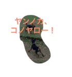 ミニピン☆テト（個別スタンプ：2）