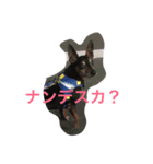 ミニピン☆テト（個別スタンプ：8）