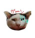 3匹の猫（個別スタンプ：10）