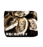 ごちそうさんたち（個別スタンプ：11）