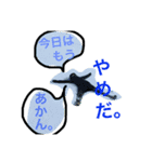 橋本さんちのおばかスタンプ（個別スタンプ：4）