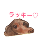 みんな大好きラッキーくん！（個別スタンプ：8）