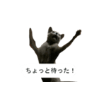 困ったときの猫（ネコ）（個別スタンプ：7）