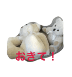 まみりちゃんとサラちゃん（個別スタンプ：2）