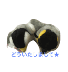 ペンちゃんとごっちゃん（個別スタンプ：4）