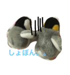 ペンちゃんとごっちゃん（個別スタンプ：5）