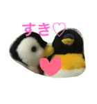 ペンちゃんとごっちゃん（個別スタンプ：6）
