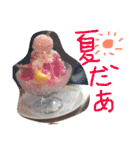 はらペコ（個別スタンプ：12）