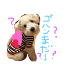 はらペコ（個別スタンプ：16）