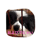にゃんかわいい（個別スタンプ：8）