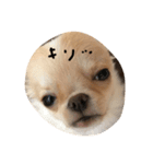 あぽ（個別スタンプ：3）