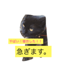 みんなの自由なペットたち。(飼い主似)（個別スタンプ：1）