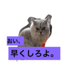 みんなの自由なペットたち。(飼い主似)（個別スタンプ：2）