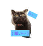 みんなの自由なペットたち。(飼い主似)（個別スタンプ：5）
