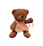 クマのぬいぐるみ（個別スタンプ：1）