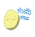 Team egg（個別スタンプ：14）