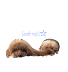 チョコ✩モカ（個別スタンプ：2）