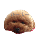 チョコ✩モカ（個別スタンプ：8）