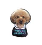 チョコ✩モカ（個別スタンプ：13）