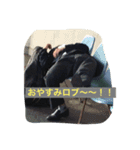 宮内の日常（個別スタンプ：10）