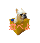 ロック坊（個別スタンプ：1）