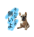 ロック坊（個別スタンプ：5）
