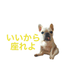ロック坊（個別スタンプ：8）