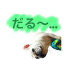 ロック坊（個別スタンプ：9）