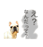 ロック坊（個別スタンプ：10）