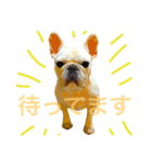 ロック坊（個別スタンプ：12）