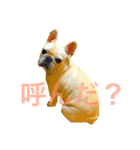 ロック坊（個別スタンプ：14）