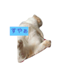 みぞれの日常（個別スタンプ：1）