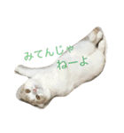 みぞれの日常（個別スタンプ：4）