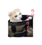 みぞれの日常（個別スタンプ：7）