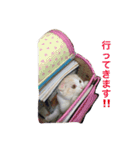 みぞれの日常（個別スタンプ：9）