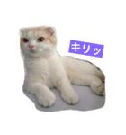 みぞれの日常（個別スタンプ：10）