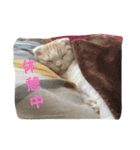 みぞれの日常（個別スタンプ：13）