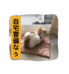 みぞれの日常（個別スタンプ：14）