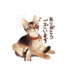 猫すたんぷアビシニアン（個別スタンプ：2）