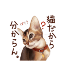 猫すたんぷアビシニアン（個別スタンプ：14）
