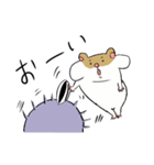 ハムハリ（個別スタンプ：24）