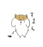 ハムハリ（個別スタンプ：33）