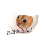 こぱんくん。（個別スタンプ：1）
