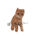 こぱんくん。（個別スタンプ：2）