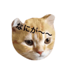 こぱんくん。（個別スタンプ：5）