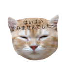 こぱんくん。（個別スタンプ：7）